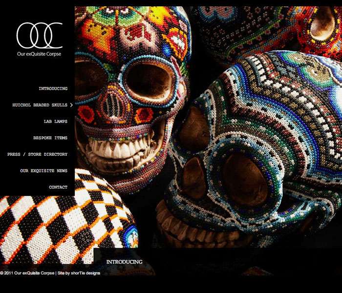 ecommerce website