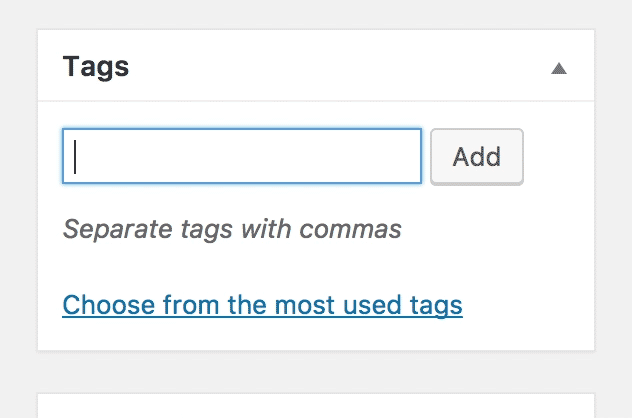 How to add a new blog post in WordPress | Add tags
